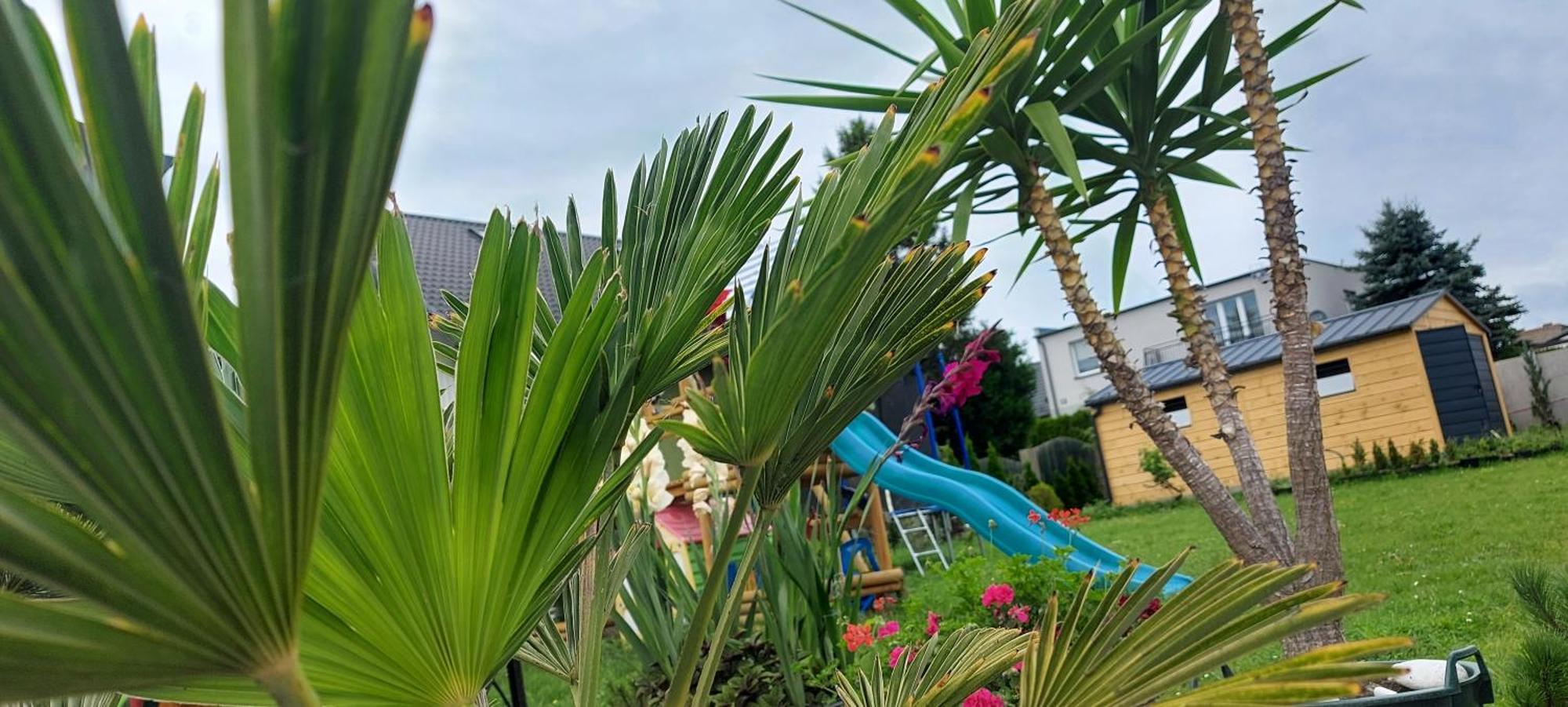 Pokoje Goscinne Jutrzenka Swarzewo Bagian luar foto